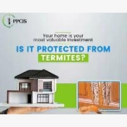 Privents Pest Control & Insecticides Service 